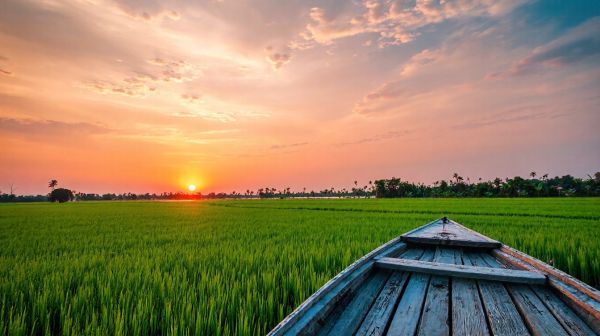 Les meilleures astuces pour profiter des paysages vietnamiens en septembre