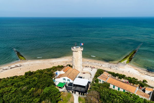 Quels sont les meilleurs spots pour observer les baleines en Islande?